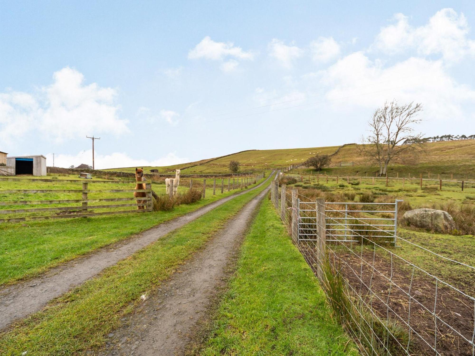 Ferny Rigg Byre - Uk3326 Vila Falstone Exterior foto